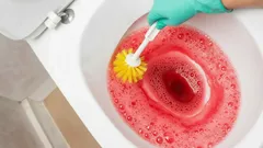 15 minuutin temppu: wc kiiltämään ilman myrkkyjä