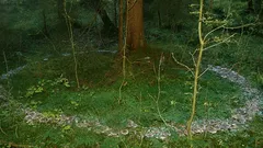 Miksi noitien kehät kiehtovat vieläkin tutkijoita ja vaeltajia