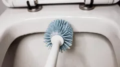 Milloin wc-harja tulisi vaihtaa – asiantuntijavinkit hygieniseen kylpyhuoneeseen