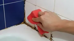 Taistelu homeesta: paras tapa päästä siitä eroon pysyvästi ja ilman ylimääräisiä kuluja