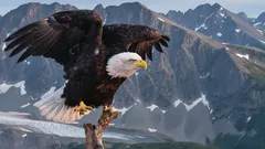 Korkeusennätysten salaisuudet: Kuinka linnut lentävät siellä, missä lentokoneet eivät pysty