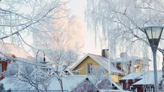 Kodinsuoja talveen: 12 tärkeintä askelta, jotka jokaisen tulee tehdä